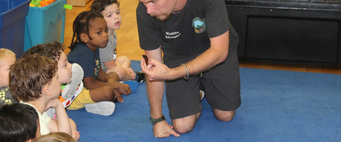 Campers learning about Insects